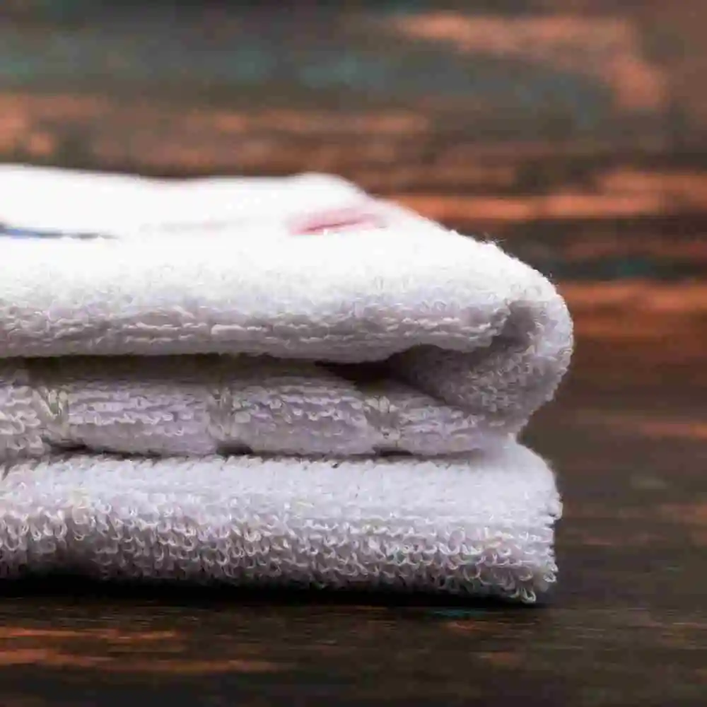 Alvin and the Chipmunks Towel